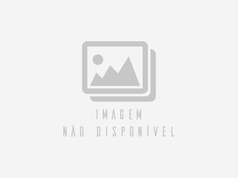 Um forno a lenha próprio para panificadora, oito esteiras, turbo lenha, marca Venancio. - Imagem não disponível