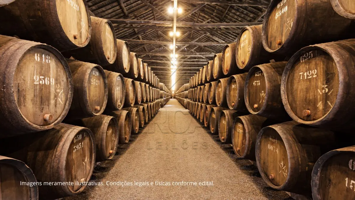 LOTE 001 - 720.000 (setecentos e vinte mil) litros de vinho comum II, safra 2022.