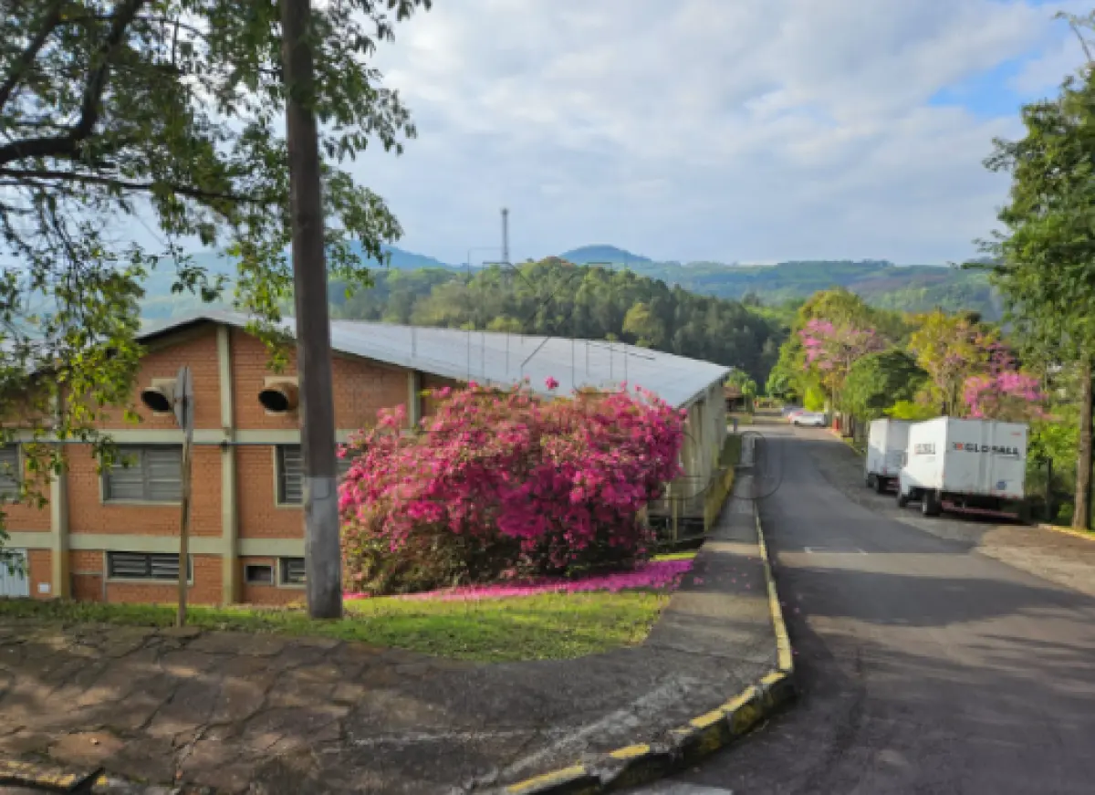 LOTE 001 - IMÓVEL SITUADO NA RODOVIA RS-239, nº 5966, cidade de Campo Bom/RS
