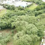 ÁREA DE TERRAS SITAS NO BAIRRO PASSO DOS FORTES, NA CIDADE DE CHAPECÓ/SC, CONSIDERADO COMO TERRENO SUBURBANO, COM A ÁREA DE 6.050M², CONFRONTANDO EM CONJUNTOS: AO NORTE, COM TERRENOS DE DEMETRIO LOSS, JOSÉ VACARI E UM LAGEADO; AO SUL, COM TERRENOS DA EMPRESA BERTASO E RUAS SEM DENOMINAÇÃO; AO LESTE,COM TERRENOS DE FIDELIS PIVA; AO OESTE, COM TERRENOS DE AQUILES BIFFI.