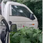 UMA CAMINHONETE DE FABRICAÇÃO NACIONAL, MARCA/MODELO HYUNDAI HR HDB, PLACAS IWD6095, RENAVAM 01029613807, CHASSI 95PZBN7KPEB063482, ANO DE FABRICAÇÃO/MODELO 2013/2014, COR BRANCA, A DIESEL, POTÊNCIA DE 130 CV