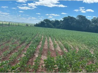 LOTE 001 - UM IMÓVEL RURAL composto pela área de 1.166,66m² (R-2), dentro de área maior medindo 38.333,33m², no lugar denominado Xeringa, município de Pejuçara/RS. Inscrito sob a matrícula nº 7.689 do CRI de Cruz Alta/RS.